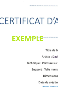 Élégance Fragmentée – Portrait expressif en noir et blanc